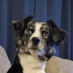 Christopher Pankratz - @christopher.pankratz - Instagram