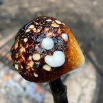 Christopher Krause - @christopherkrause_ - Instagram