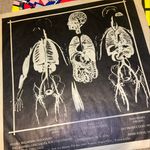 Christopher Krause - @aleister_krausely_bumbakla - Instagram