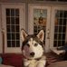 Christopher Krawchuk - Facebook