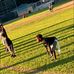 Christopher Lacey - Facebook