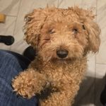 Christopher D Lampkin - @christopherdlampkin - Instagram