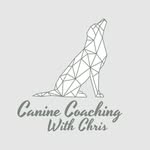 Christopher Lamy - @caninecoachingwithchris - Instagram