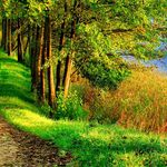 Christopher Lander - @christopherlander48 - Instagram
