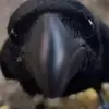 Christopher Lander - @christopher090909090 - TikTok