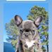 Christopher Landers - Facebook