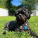 Christopher Lanham - Facebook