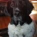 Larry Christopher - Facebook