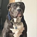 Christopher Lavelle - @chris_thetrucker_ - Instagram
