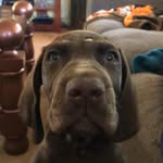 @christopher.layman - Instagram