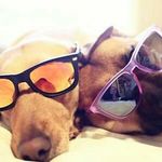 John Christopher Lazo - @ceejaylazo02 - Instagram
