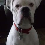 Chris Leach - @christopher.leach.96 - Instagram