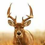 christopher leach - @cjleach132004 - Instagram