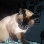 Christopher Leader - @christopherleader5 - Instagram