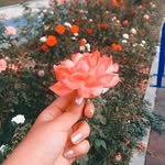 İCSES FOTOĞRAF - @crazy_leader_christopher - Instagram