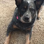 Christopher Ledford - @chris_ledford69 - Instagram