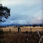 Christopher Leidy - @christopherleidy - Instagram
