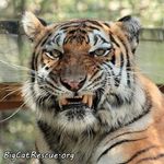 Christopher Locklear - @christopher.locklear.505 - Instagram