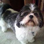 Christopher Lomas - @clomas312 - Instagram