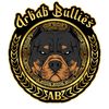 Christopher Lorenz A - @arbabbullies - TikTok