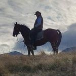 Christopher Lowe - @rubiconvalleyhorse - Instagram