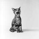Christopher Lowe - @instachrislowegram - Instagram
