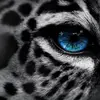 christopherlowe66 - @christopherlowe666 - TikTok