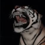 Christopher Lujan - @chrislujan210501 - Instagram