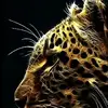 RealChristopherLujan - @realchristopherlujan - TikTok