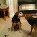 Christopher Lyness - Facebook