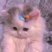 Chris Mader - Facebook