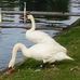 Christopher Mader - Facebook