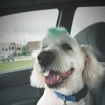 Christopher Magnuson - @magnusonaudiobox - Instagram