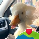Christopher Mainwaring - @christophermainwaring - Instagram