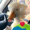 Christopher Mainwaring - @christopher.mainw - TikTok