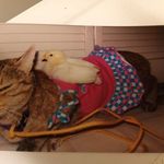 Christopher Maness - @christopher.d.maness - Instagram
