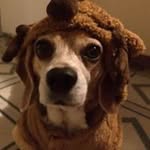 Christopher Mangels - @christophermangels - Instagram