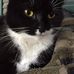 Christopher Mansfield - Facebook
