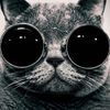 Christopher Maré - @chrisfoxter - TikTok