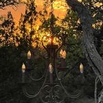 Christopher Markley - @enchantedoakranch - Instagram