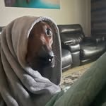 Christopher marks - @1halfhearted_mf - Instagram
