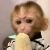 Christopher Marquez - @christopher.marqu655 - TikTok
