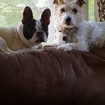Christopher T. Mattson - @mattsonchristopher - Instagram