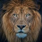 Christopher Mayton - Facebook