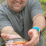 Christopher McAndrew - @chridder76 - Instagram