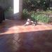 Chris McDaniel - Facebook