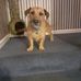 Christopher McDonagh - Facebook