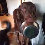 Christopher McDougall - @christopher.mcdougall.96 - Instagram