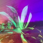 christopher_mcelroy - @christopher_mcelroy - Instagram