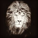 Christopher McFarlane - @mcfarlanebrook - Instagram